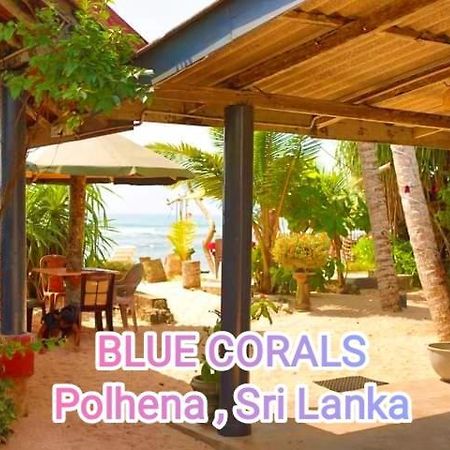 Blue Corals Beach Bungalow Matara Exterior foto
