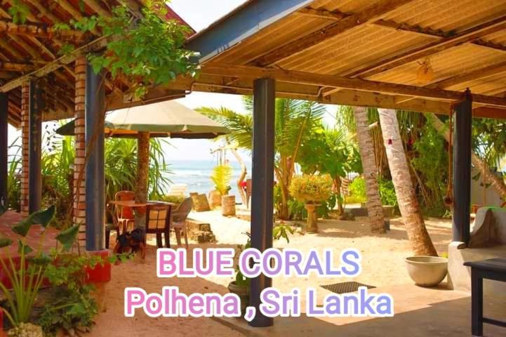 Blue Corals Beach Bungalow Matara Exterior foto