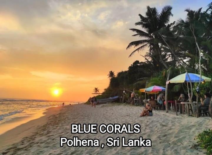 Blue Corals Beach Bungalow Matara Exterior foto