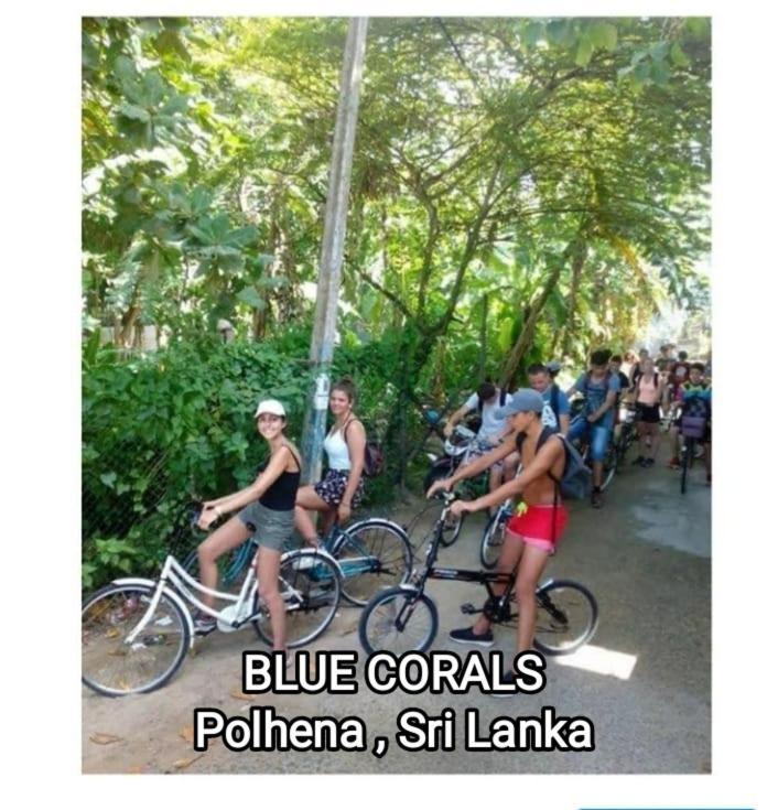 Blue Corals Beach Bungalow Matara Exterior foto