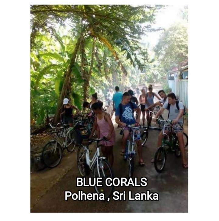 Blue Corals Beach Bungalow Matara Exterior foto