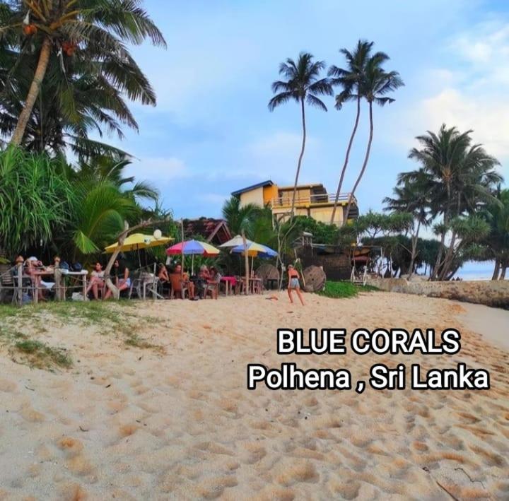 Blue Corals Beach Bungalow Matara Exterior foto