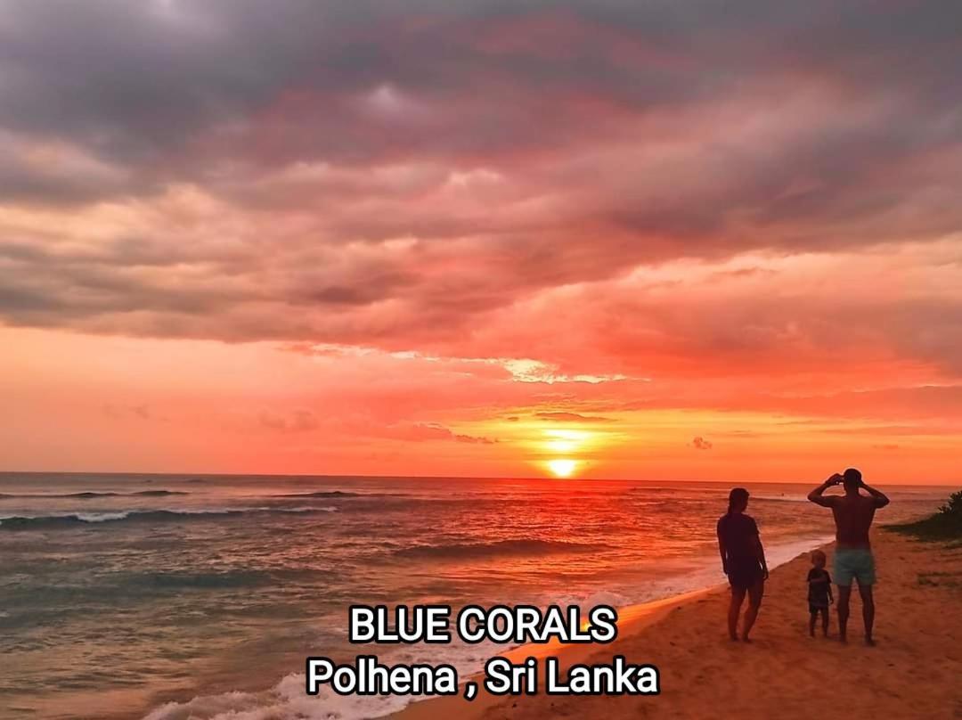 Blue Corals Beach Bungalow Matara Exterior foto