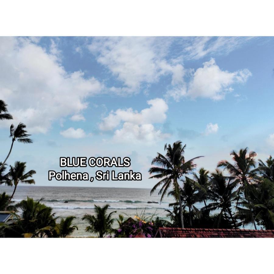 Blue Corals Beach Bungalow Matara Exterior foto