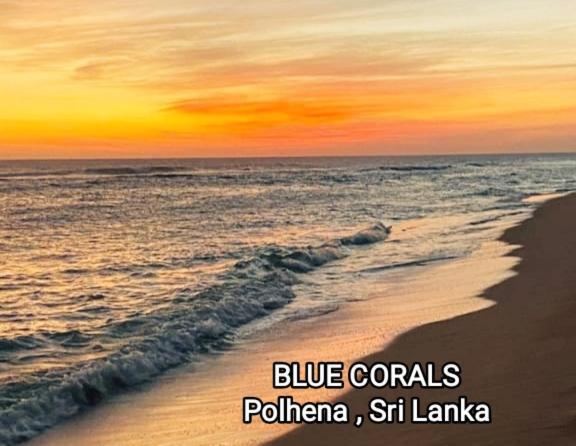 Blue Corals Beach Bungalow Matara Exterior foto