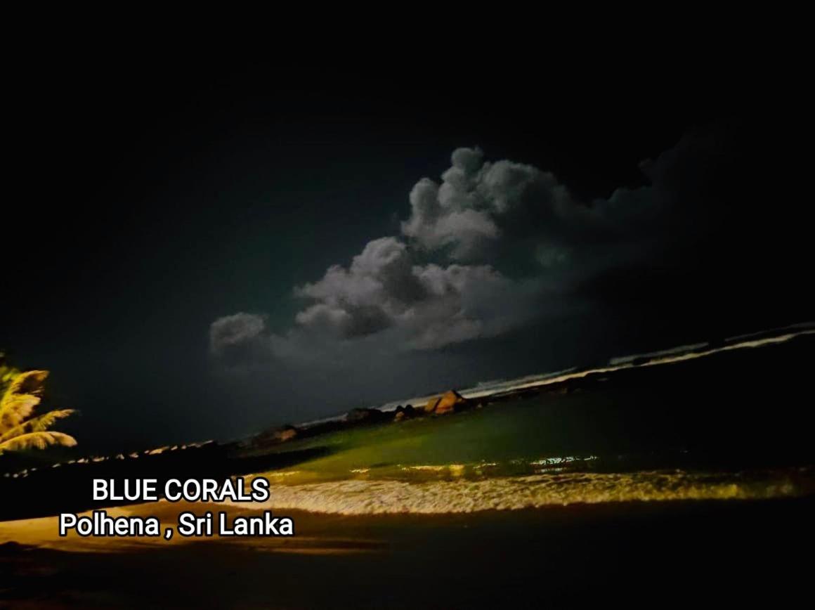 Blue Corals Beach Bungalow Matara Exterior foto