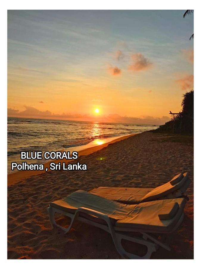 Blue Corals Beach Bungalow Matara Exterior foto