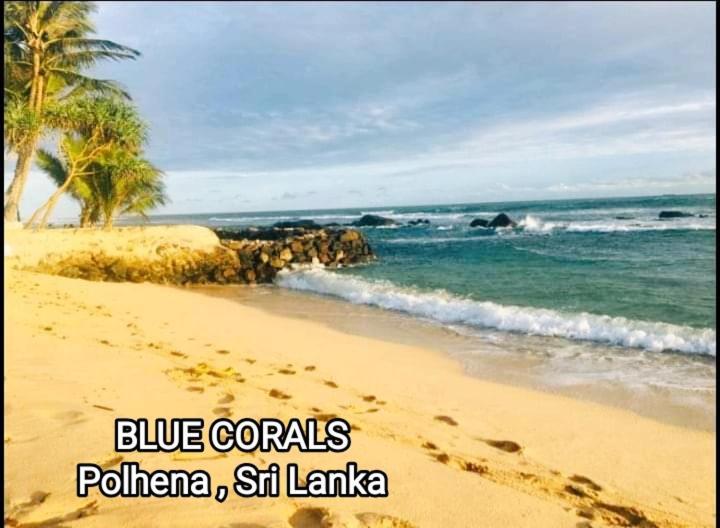Blue Corals Beach Bungalow Matara Exterior foto