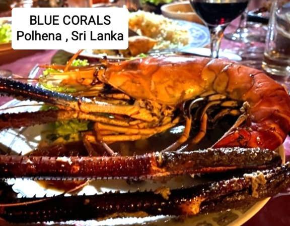 Blue Corals Beach Bungalow Matara Exterior foto