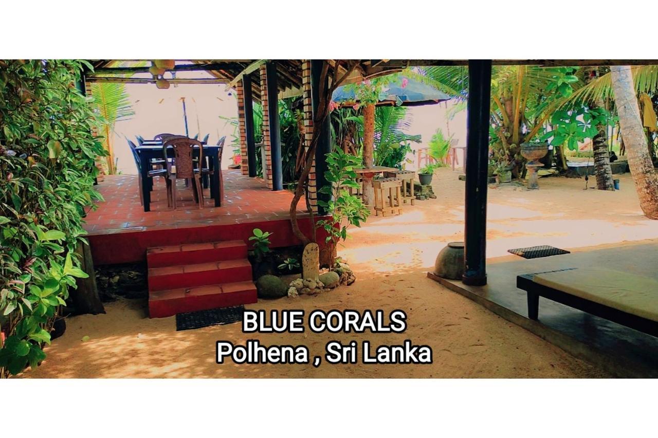 Blue Corals Beach Bungalow Matara Exterior foto
