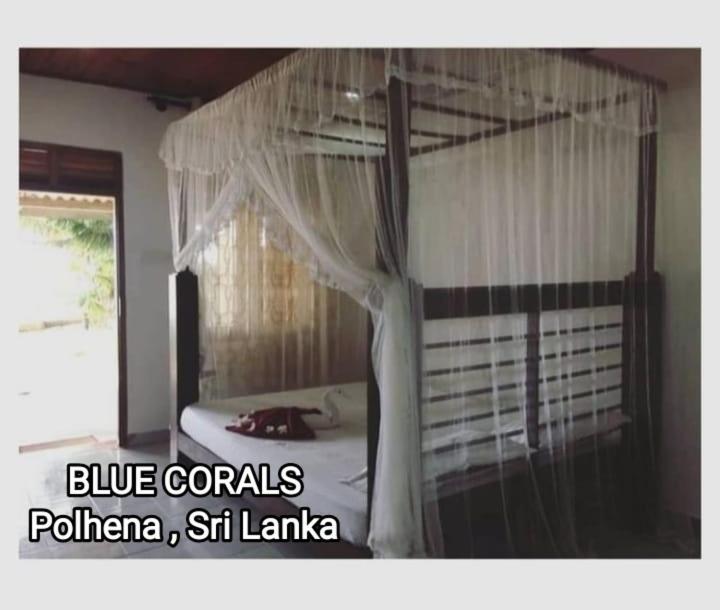 Blue Corals Beach Bungalow Matara Exterior foto