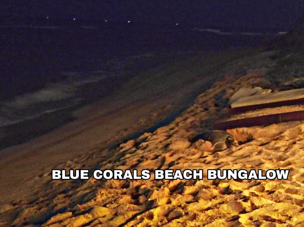 Blue Corals Beach Bungalow Matara Exterior foto